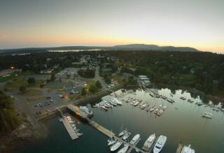 Northeast Harbor Drone view