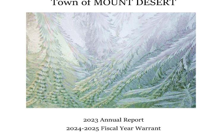 cover of town report