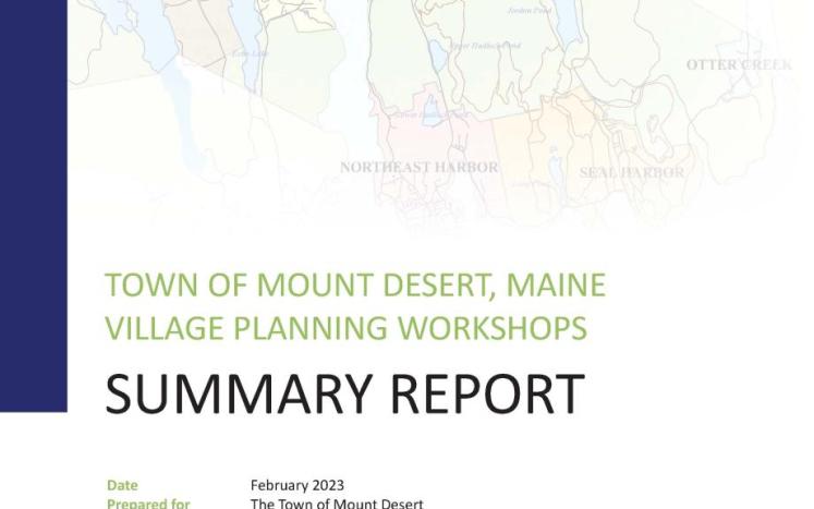 Village Summary Report Cover